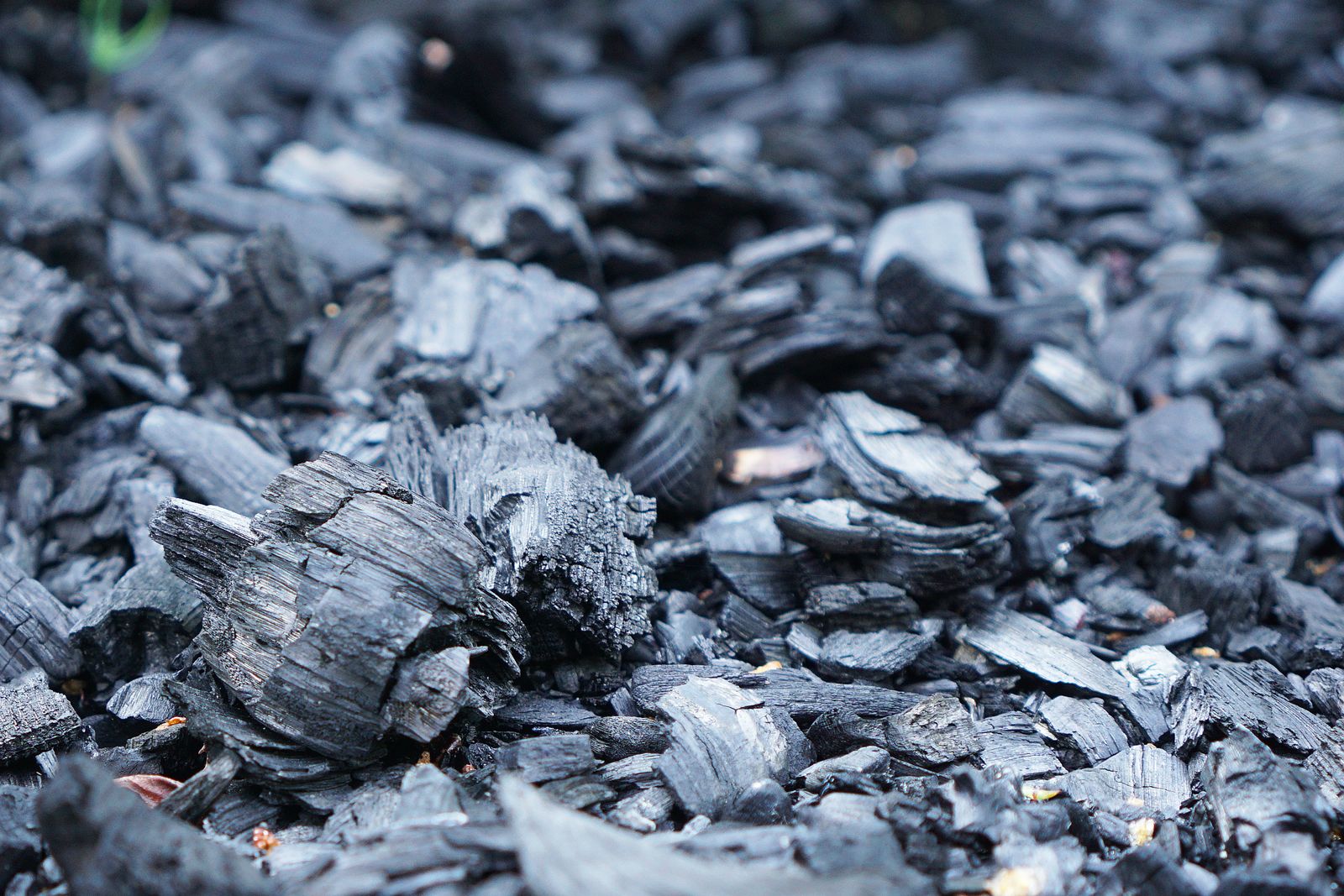 Biocoal