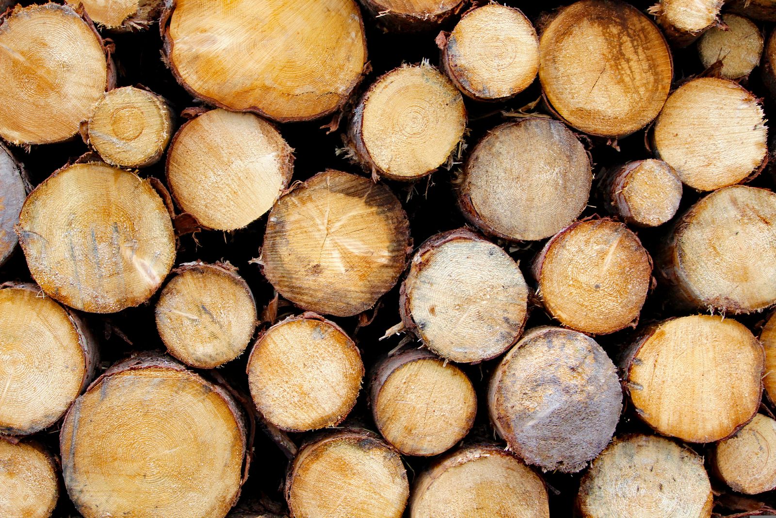 Briquettes
