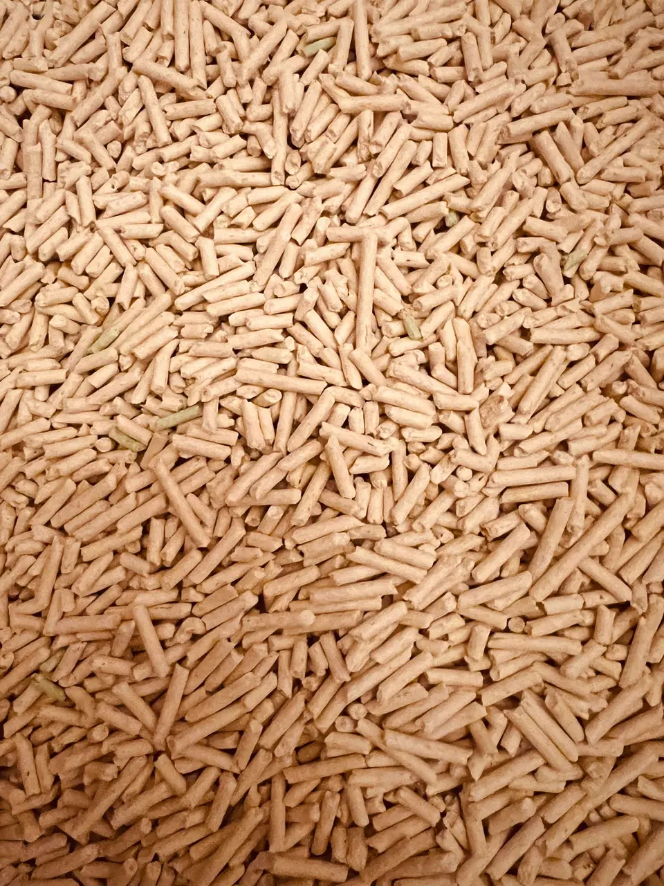 बायोमास पेलेट्स