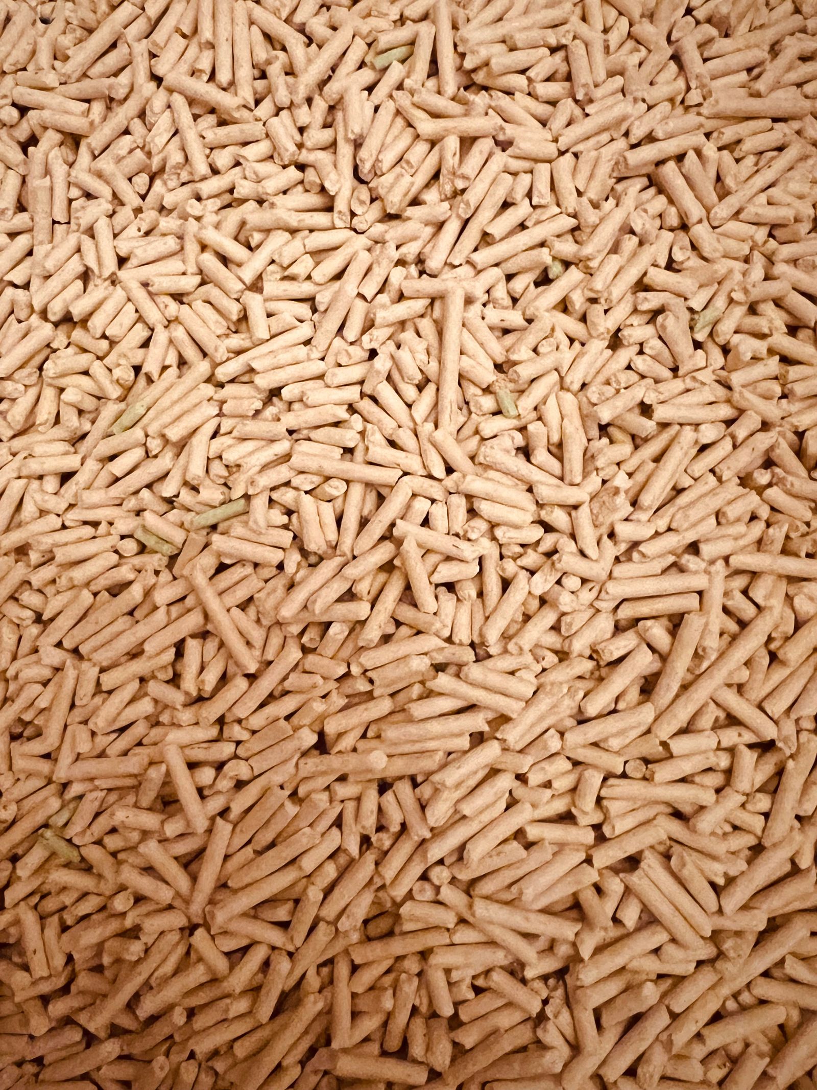 Biomass Pellets